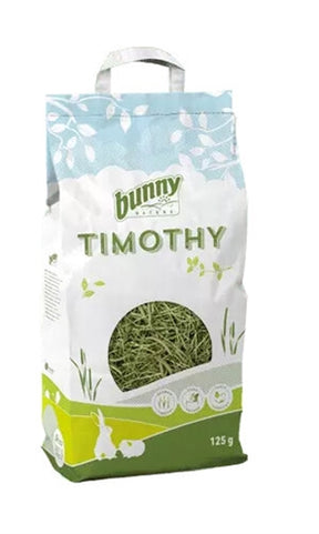 Conejito Naturaleza Timothy Hooi